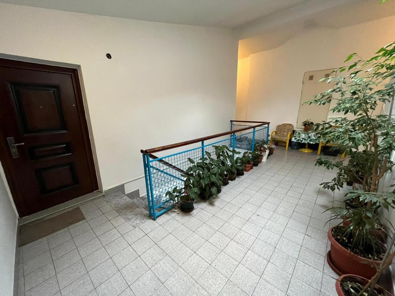 Albatros Apartments Бар Номер фото